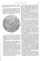 giornale/CFI0360608/1932/unico/00000797