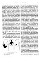 giornale/CFI0360608/1933/unico/00000021