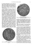 giornale/CFI0360608/1933/unico/00000031