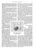 giornale/CFI0360608/1933/unico/00000223