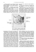 giornale/CFI0360608/1933/unico/00000224