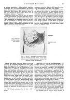 giornale/CFI0360608/1933/unico/00000225