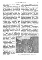 giornale/CFI0360608/1933/unico/00000237