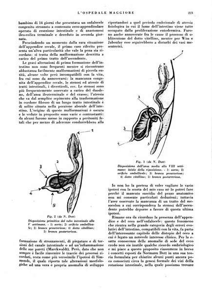 L'Ospedale Maggiore rivista scientifico-pratica dell'Ospedale Maggiore di Milano ed Istituti sanitari annessi