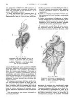 giornale/CFI0360608/1933/unico/00000244