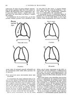 giornale/CFI0360608/1933/unico/00000558