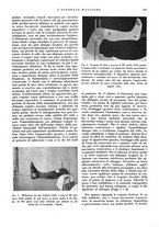 giornale/CFI0360608/1934/unico/00000307