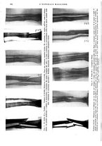 giornale/CFI0360608/1934/unico/00000308