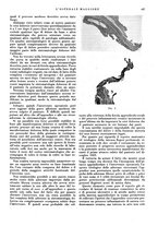 giornale/CFI0360608/1934/unico/00000461