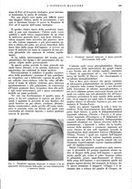 giornale/CFI0360608/1934/unico/00000629