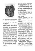 giornale/CFI0360608/1934/unico/00000630