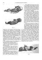 giornale/CFI0360608/1934/unico/00000660