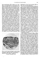 giornale/CFI0360608/1934/unico/00000781