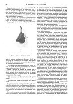 giornale/CFI0360608/1934/unico/00000792