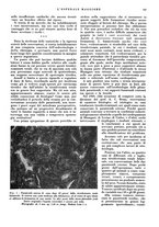 giornale/CFI0360608/1935/unico/00000155