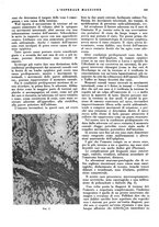 giornale/CFI0360608/1935/unico/00000369