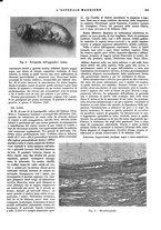 giornale/CFI0360608/1935/unico/00000377