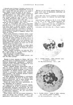 giornale/CFI0360608/1937/unico/00000017