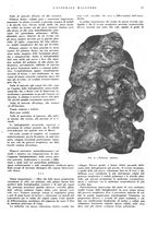giornale/CFI0360608/1937/unico/00000021