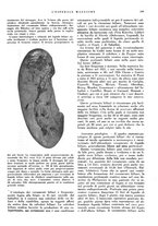 giornale/CFI0360608/1937/unico/00000221