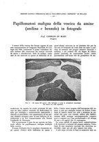 giornale/CFI0360608/1937/unico/00000284
