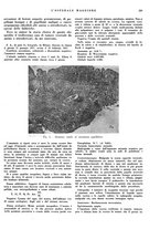 giornale/CFI0360608/1937/unico/00000285