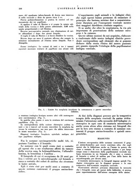 L'Ospedale Maggiore rivista scientifico-pratica dell'Ospedale Maggiore di Milano ed Istituti sanitari annessi