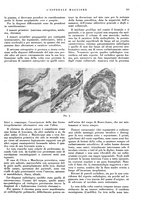 giornale/CFI0360608/1937/unico/00000341