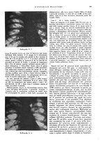 giornale/CFI0360608/1937/unico/00000393