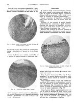 giornale/CFI0360608/1937/unico/00000546