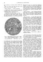giornale/CFI0360608/1938/unico/00000032