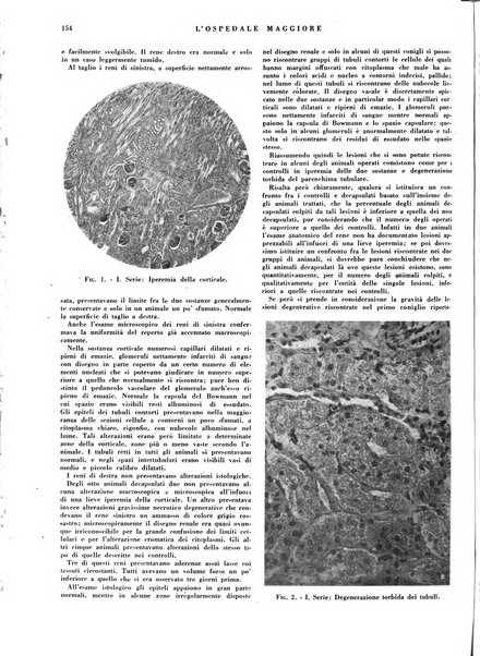 L'Ospedale Maggiore rivista scientifico-pratica dell'Ospedale Maggiore di Milano ed Istituti sanitari annessi