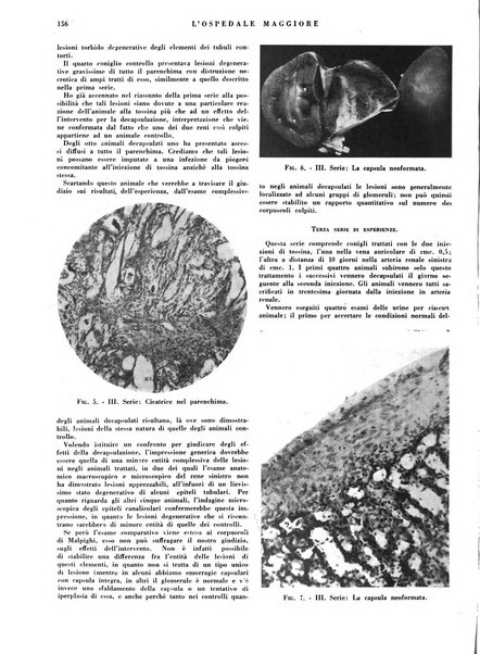 L'Ospedale Maggiore rivista scientifico-pratica dell'Ospedale Maggiore di Milano ed Istituti sanitari annessi