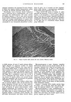 giornale/CFI0360608/1938/unico/00000175