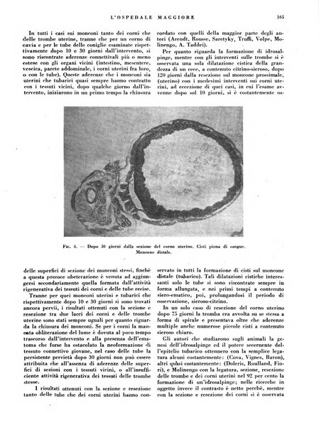 L'Ospedale Maggiore rivista scientifico-pratica dell'Ospedale Maggiore di Milano ed Istituti sanitari annessi