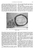 giornale/CFI0360608/1938/unico/00000177