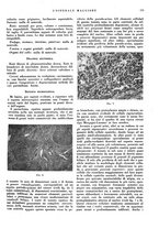 giornale/CFI0360608/1938/unico/00000185