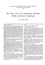 giornale/CFI0360608/1938/unico/00000278