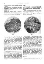 giornale/CFI0360608/1938/unico/00000280
