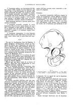 giornale/CFI0360608/1939/unico/00000013