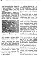 giornale/CFI0360608/1940/unico/00000183