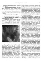 giornale/CFI0360608/1940/unico/00000329