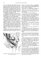 giornale/CFI0360608/1941/unico/00000132