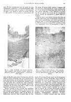 giornale/CFI0360608/1941/unico/00000553