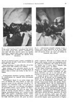 giornale/CFI0360608/1942/unico/00000025
