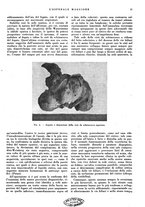 giornale/CFI0360608/1942/unico/00000027