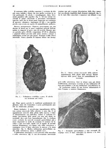 L'Ospedale Maggiore rivista scientifico-pratica dell'Ospedale Maggiore di Milano ed Istituti sanitari annessi