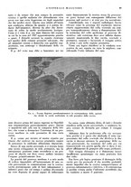 giornale/CFI0360608/1942/unico/00000103