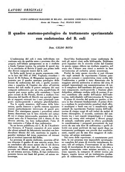 L'Ospedale Maggiore rivista scientifico-pratica dell'Ospedale Maggiore di Milano ed Istituti sanitari annessi