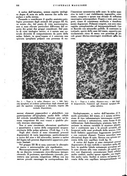 L'Ospedale Maggiore rivista scientifico-pratica dell'Ospedale Maggiore di Milano ed Istituti sanitari annessi